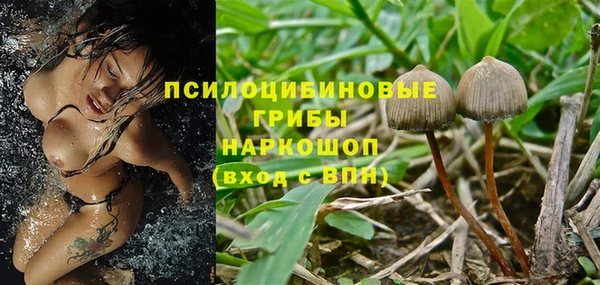 стаф Бронницы