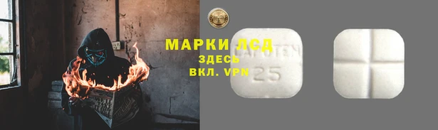 стаф Бронницы