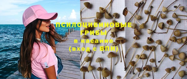 бошки Богданович