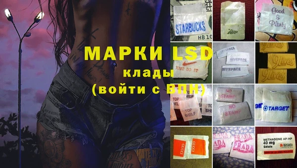 стаф Бронницы