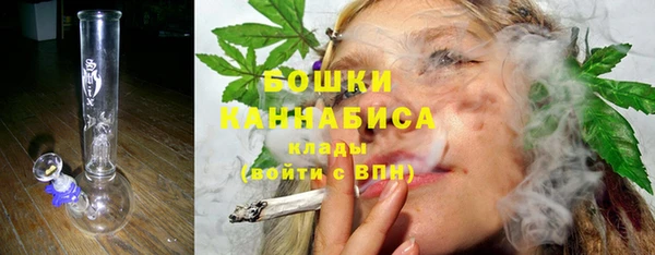 бошки Богданович