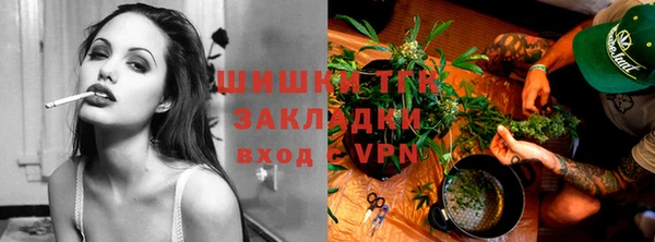бошки Богданович