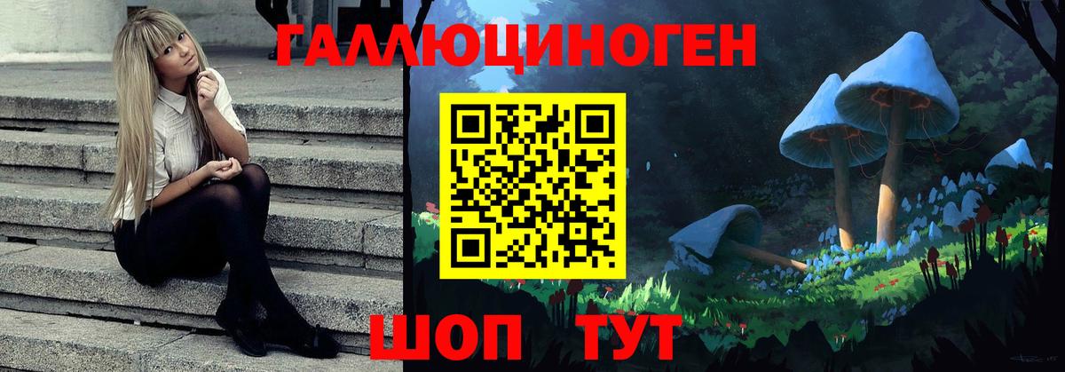 Галлюциногенные грибы ЛСД Гудермес